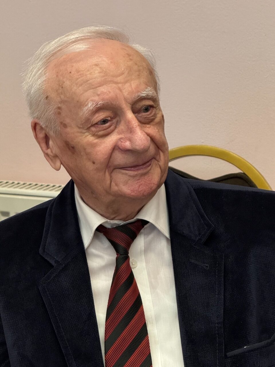 Artistul Radu Bercea