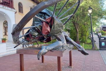 Sculptură celebră din Suceava, acoperită cu plastic înainte de vânzare