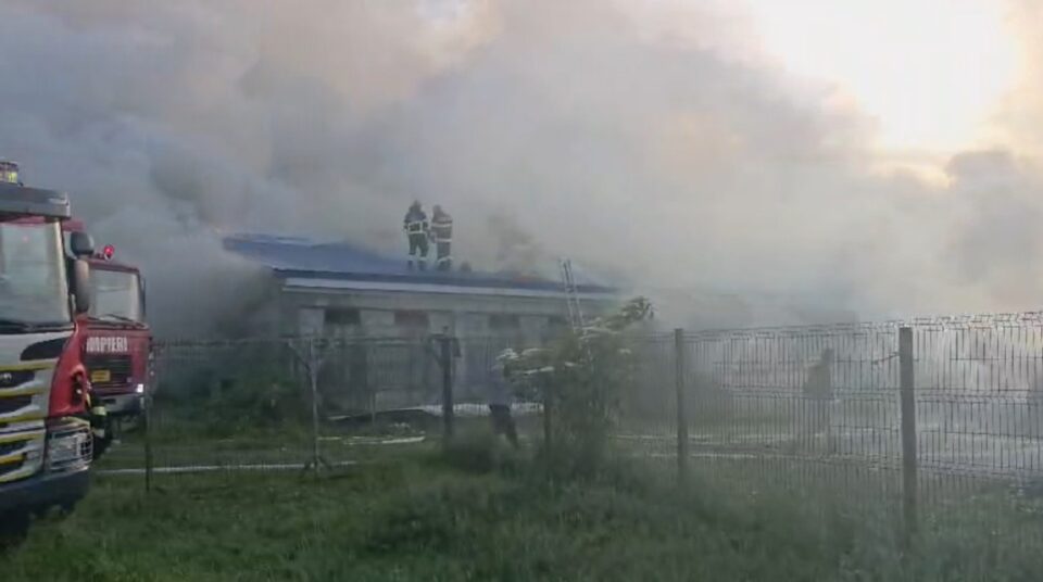 Incendiu la o fermă de animale din Milișăuți