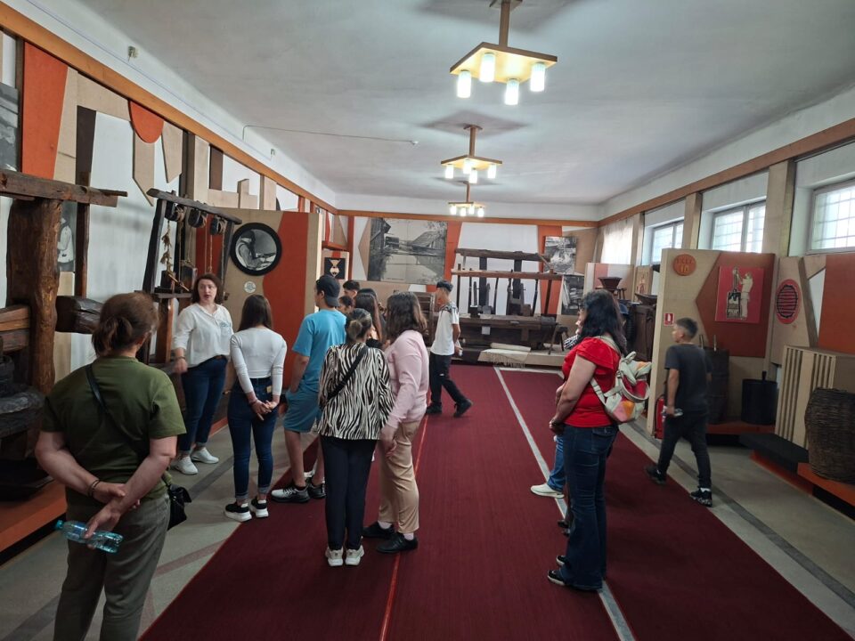 Excursia școlară, modalitate de cunoaștere și recreere pentru elevii cu CES