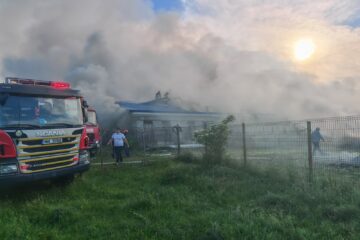 50 de porci au pierit în incendiul de la Milișăuți, în jur de 250 au fost salvați. Tot dezastrul ar fi plecat de la o țigară