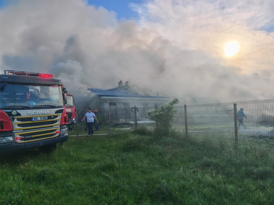 50 de porci au pierit în incendiul de la Milișăuți, în jur de 250 au fost salvați. Tot dezastrul ar fi plecat de la o țigară 50 de porci au pierit în incendiul de la Milișăuți, în jur de 250 au fost salvați. Tot dezastrul ar fi plecat de la o țigară