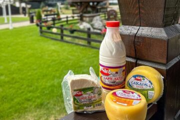 Fabrica de produse lactate Niro din Gura Humorului preia o parte dintre micii fermieri afectați de închiderea centrelor de colectare a laptelui Lactalis