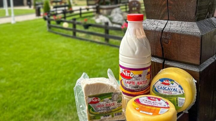 Fabrica de produse lactate Niro din Gura Humorului preia o parte dintre micii fermieri afectați de închiderea centrelor de colectare a laptelui Lactalis Fabrica de produse lactate Niro din Gura Humorului preia o parte dintre micii fermieri afectați de închiderea centrelor de colectare a laptelui Lactalis