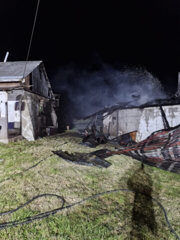 O adolescentă de 15 ani a murit într-un incendiu la Ilișești