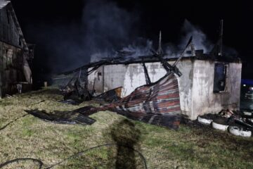 O adolescentă de 15 ani a murit într-un incendiu la Ilișești O adolescentă de 15 ani a murit într-un incendiu la Ilișești