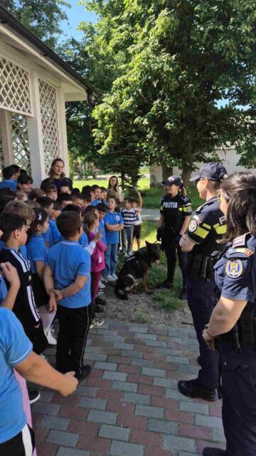 Raziile cu polițiști mulți au ajuns și în zona Pătrăuți – Dărmănești – Todirești –  Comănești