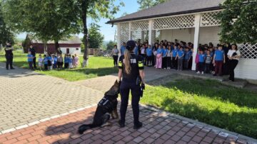 Raziile cu polițiști mulți au ajuns și în zona Pătrăuți – Dărmănești – Todirești –  Comănești