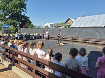 Raziile cu polițiști mulți au ajuns și în zona Pătrăuți – Dărmănești – Todirești –  Comănești