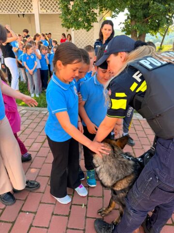 Raziile cu polițiști mulți au ajuns și în zona Pătrăuți – Dărmănești – Todirești –  Comănești