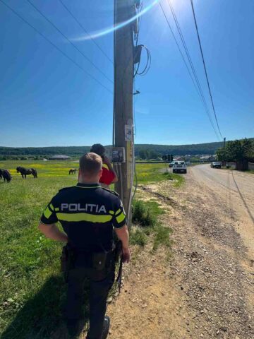Raziile cu polițiști mulți au ajuns și în zona Pătrăuți – Dărmănești – Todirești –  Comănești