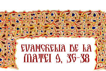 Evanghelia zilei Evanghelia zilei
