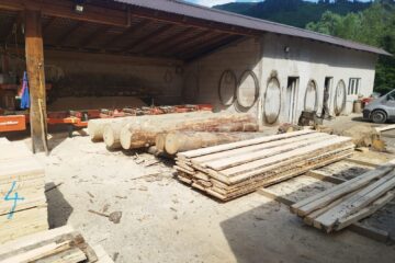 Transport fictiv de materiale lemnoase identificat la Mălini de Garda Forestieră Suceava