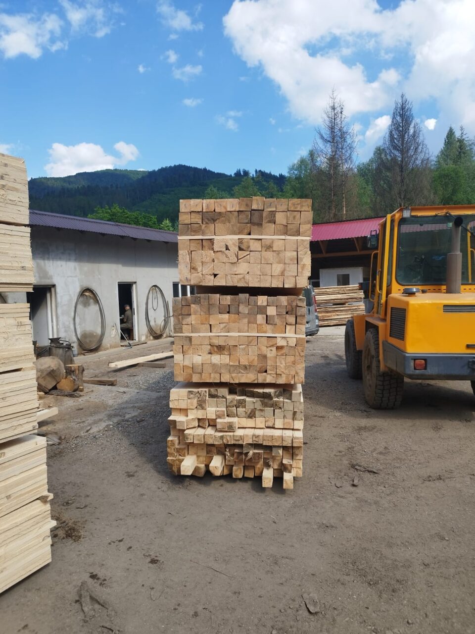 Transport fictiv de materiale lemnoase identificat la Mălini de Garda Forestieră Suceava