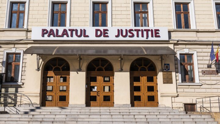 Femeia care și-a învelit într-o pătură nou-născutul și apoi l-a abandonat în mașina de spălat, condamnată la 16 ani de închisoare Femeia care și-a învelit într-o pătură nou-născutul și apoi l-a abandonat în mașina de spălat, condamnată la 16 ani de închisoare