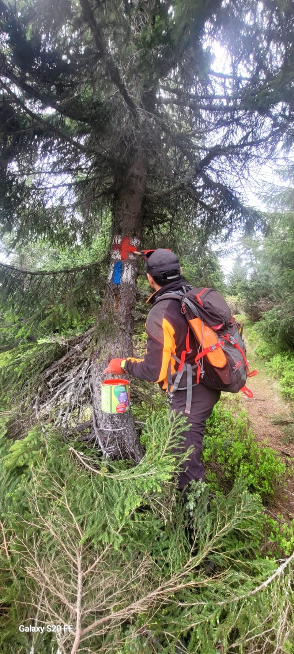 Trasee montane modernizate în Călimani și Rarău și avertismente din partea Salvamont Suceava