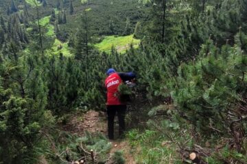 Trasee montane modernizate în Călimani și Rarău și avertismente din partea Salvamont Suceava Trasee montane modernizate în Călimani și Rarău și avertismente din partea Salvamont Suceava