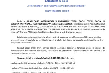 REABILITARE, MODERNIZARE ȘI AMENAJARE CENTRU SOCIAL CENTRU SOCIAL IN COMUNA PĂLTINOASA, JUDETUL SUCEAVA