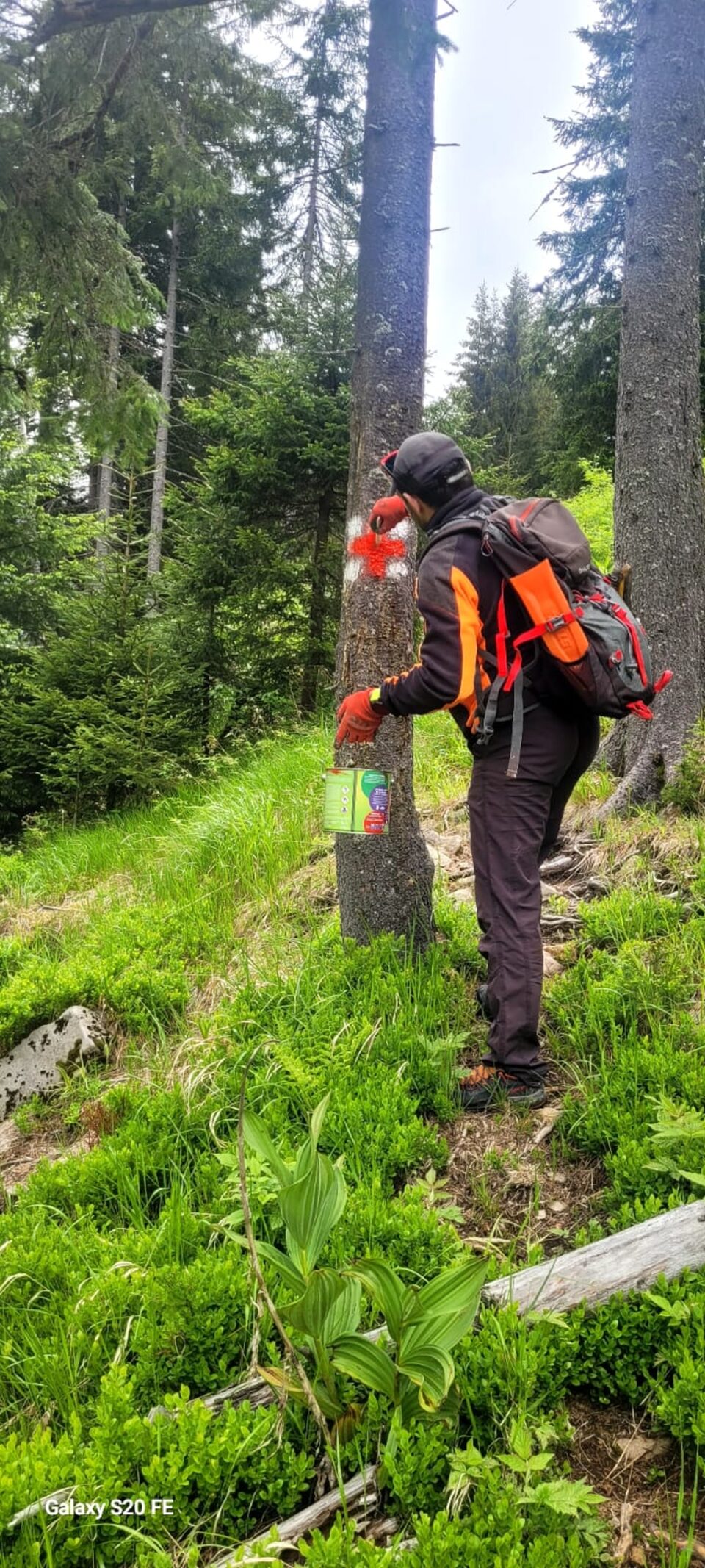 Trasee montane modernizate în Călimani și Rarău și avertismente din partea Salvamont Suceava