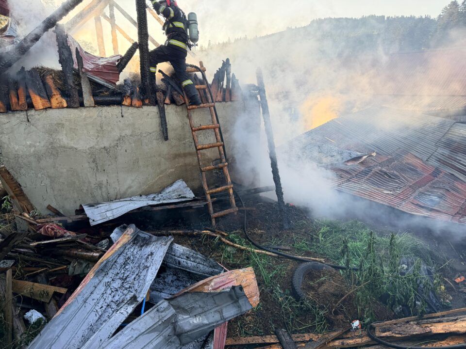Un incendiu puternic a afectat proprietățile a trei persoane