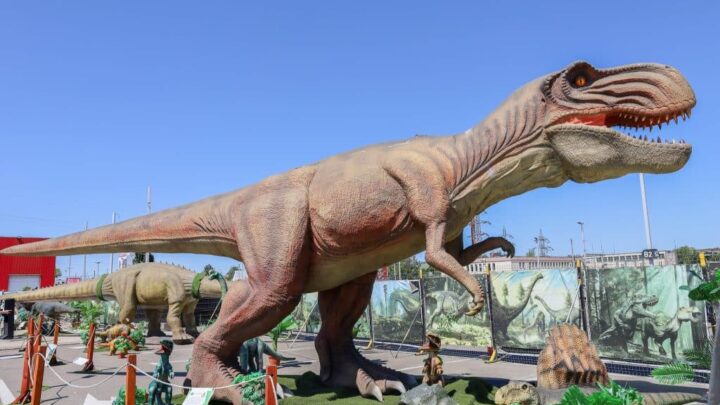 Distracție pentru întreaga familie, la Iulius Mall: concerte, teatru, dinozauri animatronici și oferte speciale la mașini