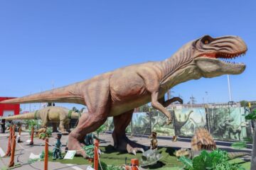 Distracție pentru întreaga familie, la Iulius Mall: concerte, teatru, dinozauri animatronici și oferte speciale la mașini Distracție pentru întreaga familie, la Iulius Mall: concerte, teatru, dinozauri animatronici și oferte speciale la mașini