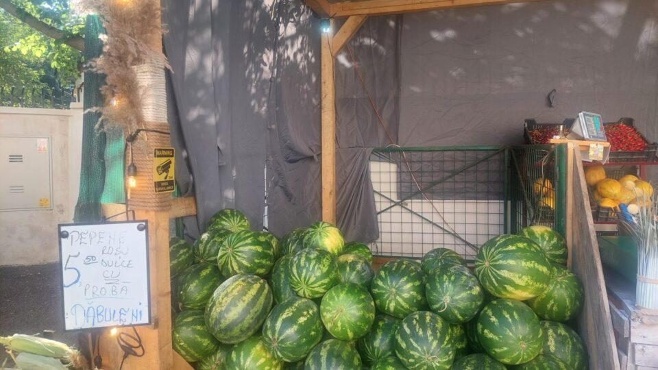 Mișu a deschis sezonul pepenilor vânduți „cu probă” la foișorul de la Piața Mică din Suceava