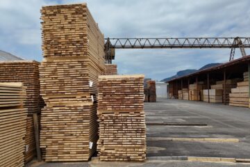 ASFOR, avertisment despre industria lemnului – ”avem resursa, dar pierdem valoarea adăugată” ASFOR, avertisment despre industria lemnului – ”avem resursa, dar pierdem valoarea adăugată”