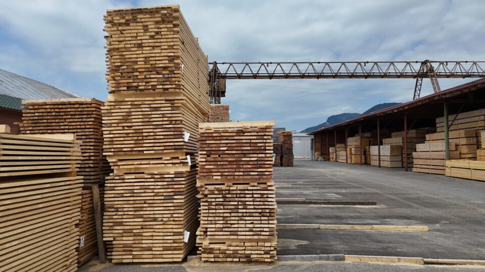 ASFOR, avertisment despre industria lemnului – ”avem resursa, dar pierdem valoarea adăugată” ASFOR, avertisment despre industria lemnului – ”avem resursa, dar pierdem valoarea adăugată”