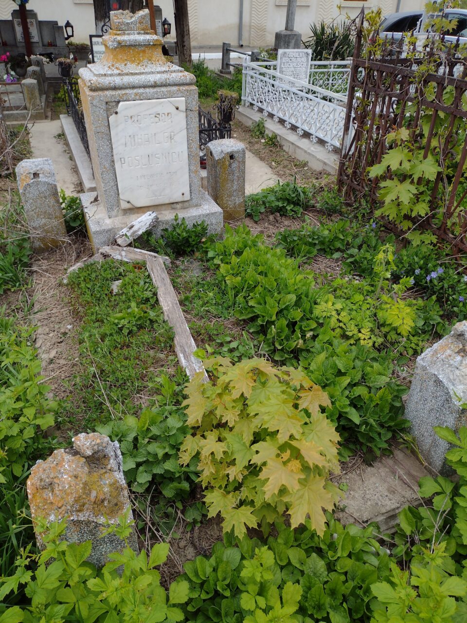 Mormântul marelui muzicolog sucevean Mihail Poslușnicu este abandonat și vandalizat, avertizează prof. emerit Vania Atudorei