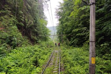 Trenuri blocate la limita dintre județele Suceava si Bistrița, din cauza căderilor de arbori rupți de furtună