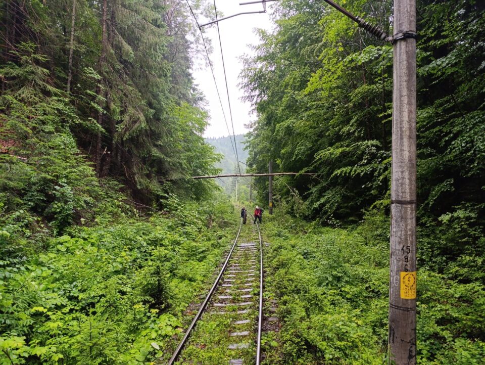Trenuri blocate la limita dintre județele Suceava si Bistrița, din cauza căderilor de arbori rupți de furtună