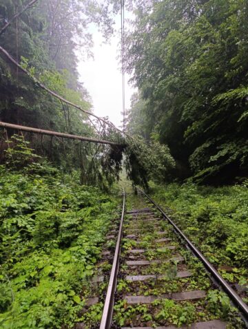 Trenuri blocate la limita dintre județele Suceava si Bistrița, din cauza căderilor de arbori rupți de furtună