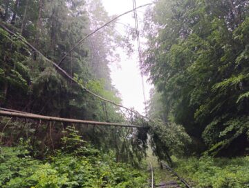 Trenuri blocate la limita dintre județele Suceava si Bistrița, din cauza căderilor de arbori rupți de furtună