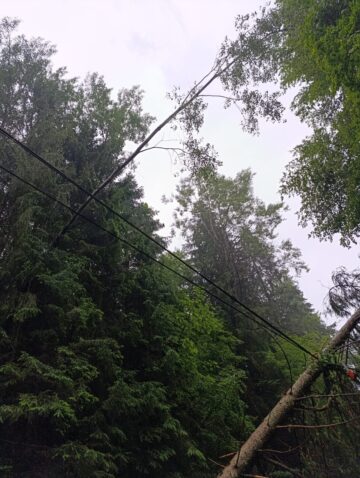 Trenuri blocate la limita dintre județele Suceava si Bistrița, din cauza căderilor de arbori rupți de furtună