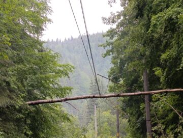 Trenuri blocate la limita dintre județele Suceava si Bistrița, din cauza căderilor de arbori rupți de furtună