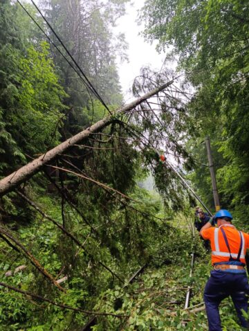 Trenuri blocate la limita dintre județele Suceava si Bistrița, din cauza căderilor de arbori rupți de furtună