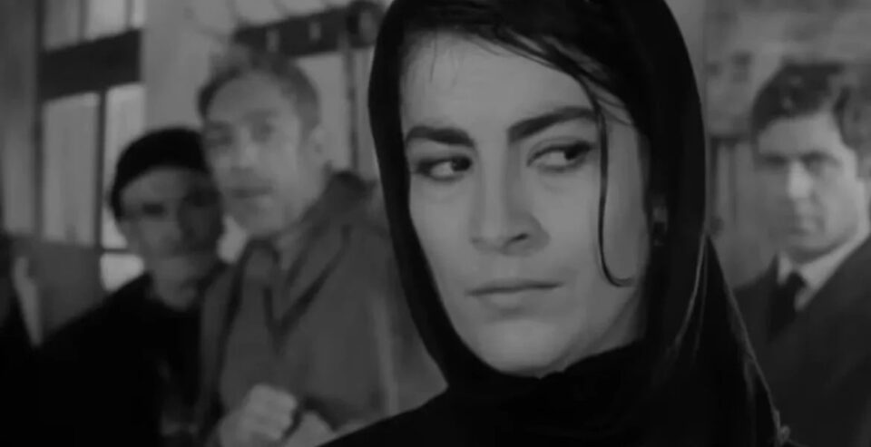 Pădurea, rădăcina sufletului (2). Zorba