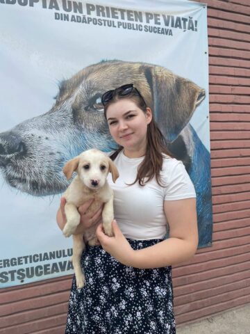 Abandonurile de animale în Suceava sunt în creștere, adopțiile au scăzut
