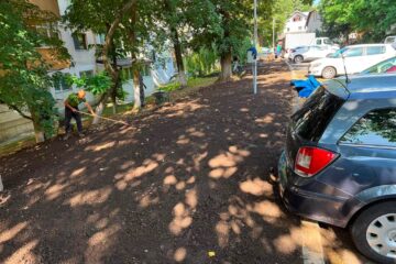 Primăria Suceava continuă amenajarea spațiilor verzi în zonele unde au fost construite parcări în locul garajelor demolate Primăria Suceava continuă amenajarea spațiilor verzi în zonele unde au fost construite parcări în locul garajelor demolate