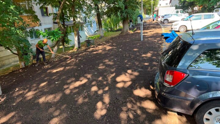 Primăria Suceava continuă amenajarea spațiilor verzi în zonele unde au fost construite parcări în locul garajelor demolate