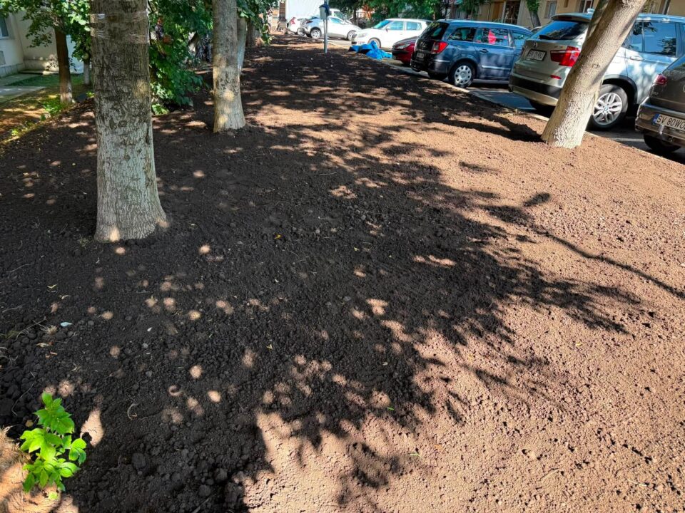 Primăria Suceava continuă amenajarea spațiilor verzi în zonele unde au fost construite parcări în locul garajelor demolate