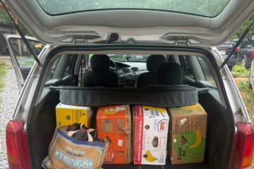 O mașină și 1.000 de pachete de țigări de contrabandă, confiscate de polițiști O mașină și 1.000 de pachete de țigări de contrabandă, confiscate de polițiști