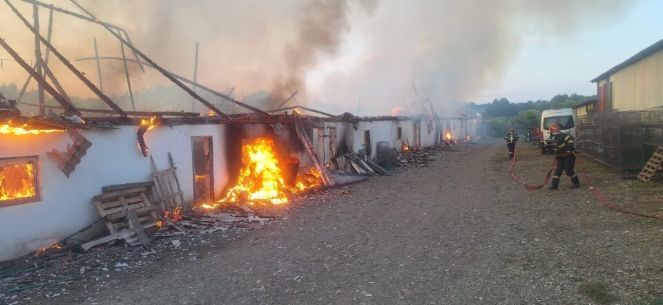 Incendiu puternic la o crescătorie de găini. Au ars hala, utilaje și în jur de 1.000 de păsări Incendiu puternic la o crescătorie de găini. Au ars hala, utilaje și în jur de 1.000 de păsări