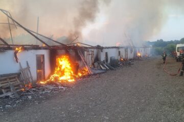 Incendiu puternic la o crescătorie de găini. Au ars hala, utilaje și în jur de 1.000 de păsări Incendiu puternic la o crescătorie de găini. Au ars hala, utilaje și în jur de 1.000 de păsări