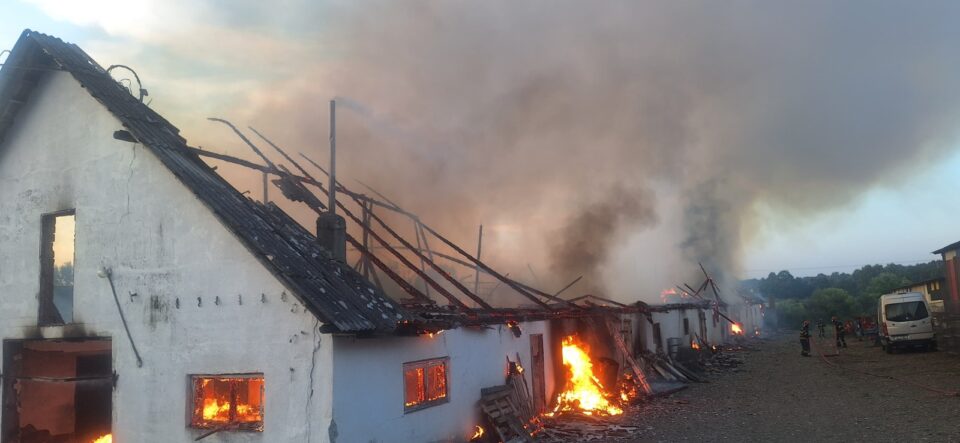 Incendiu puternic la o crescătorie de găini. Au ars hala, utilaje și în jur de 1.000 de păsări