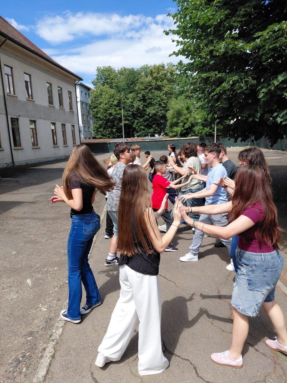 Școala de Vară „Valter Vasile Olariu”, de la Colegiul „Eudoxiu Hurmuzachi” Rădăuți