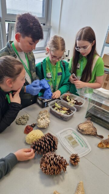 Educația pentru sustenabilitate în context european – experiență de învățare internațională în cadrul proiectului Erasmus+ „Eco Kids”