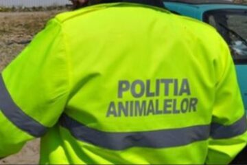 Poliția Animalelor Poliția Animalelor