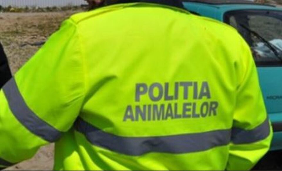 Poliția Animalelor Poliția Animalelor
